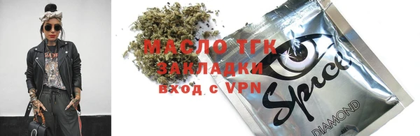 шишки Саки