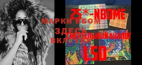 стаф Чита