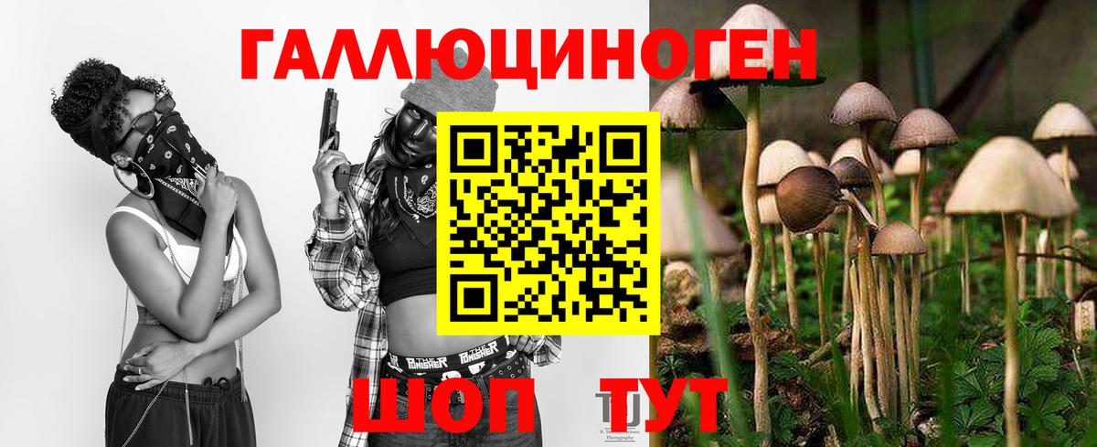 Галлюциногенные грибы мицелий Черняховск