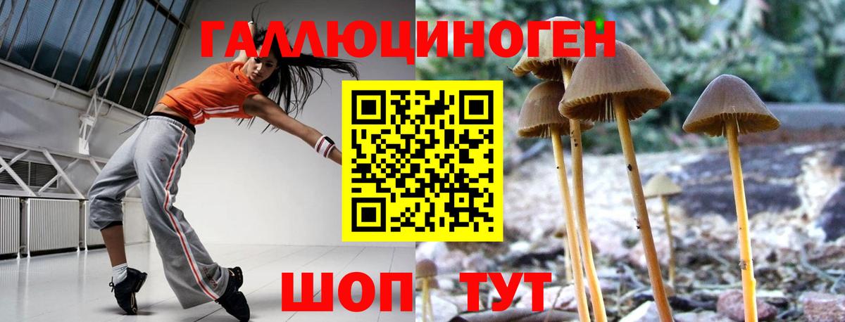 Галлюциногенные грибы ЛСД  Черняховск 