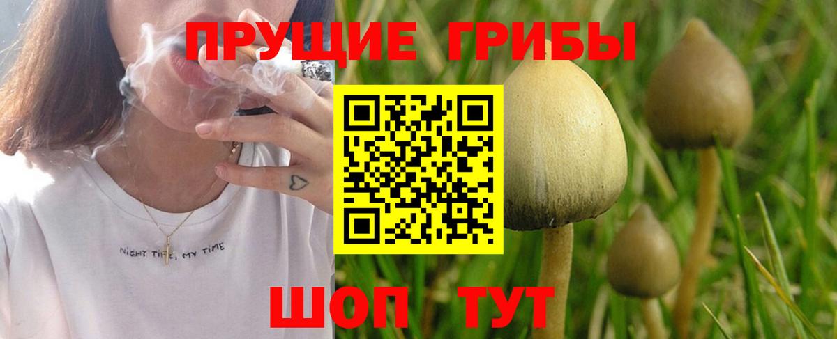 Псилоцибиновые грибы мицелий  Вход с VPN  Черняховск  Псилоцибиновые грибы MAGIC MUSHROOMS 